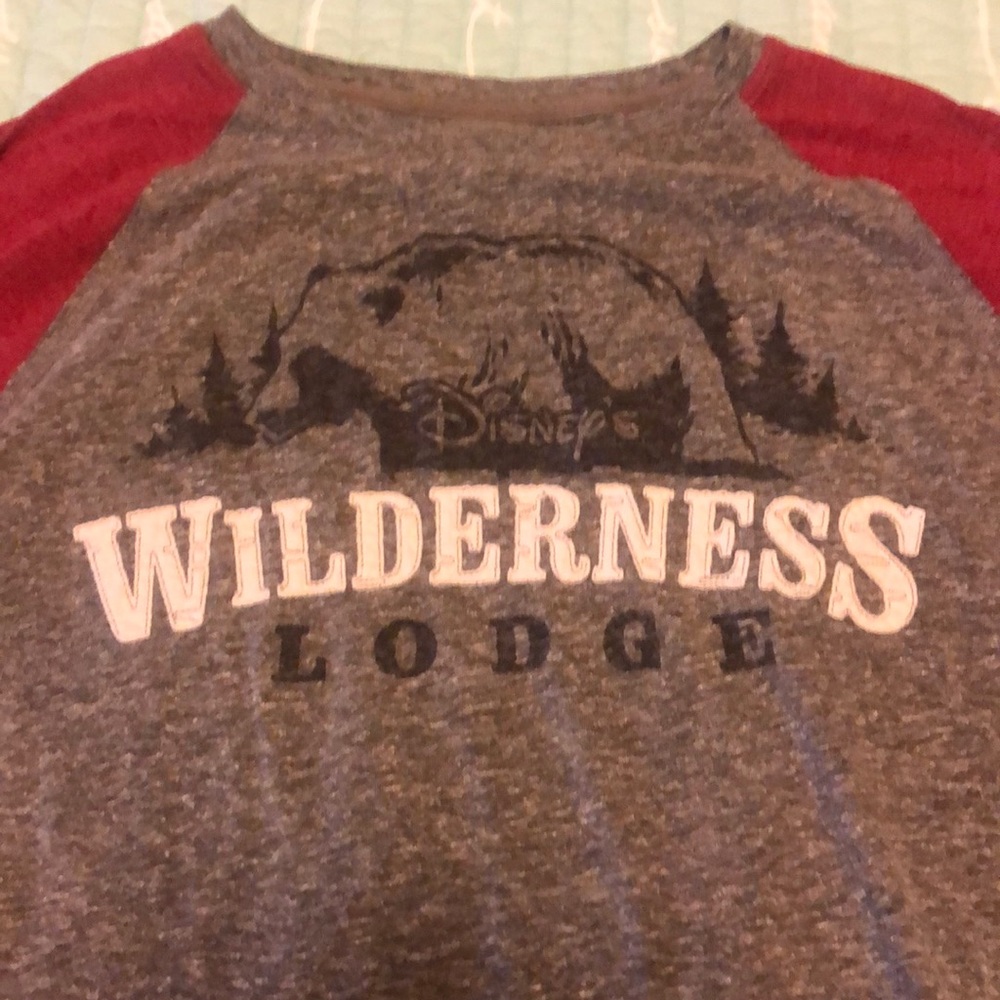 Disney Men’s size large Wilderness Lodge t-shirt